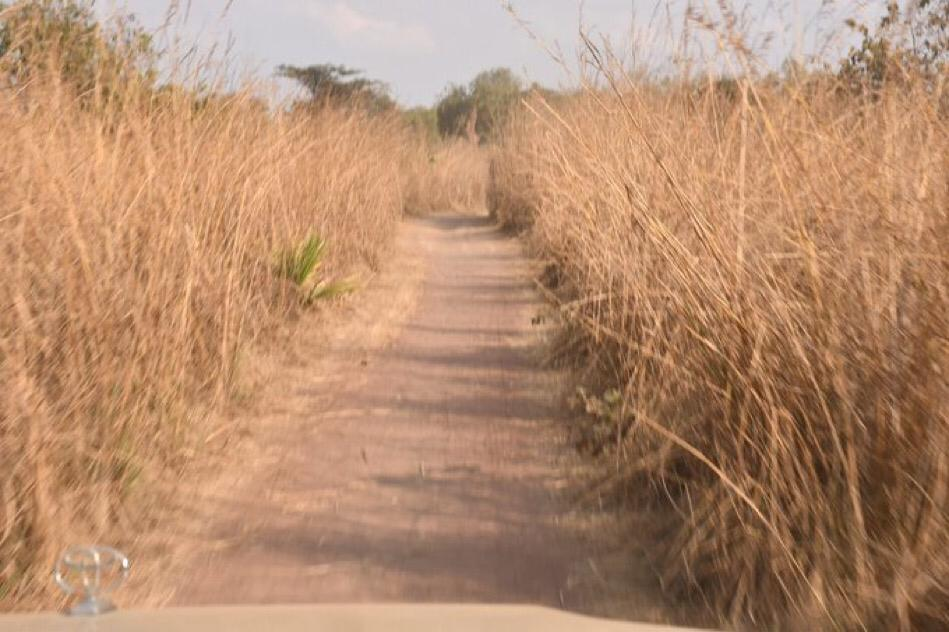 La Route Lubumbashi Kasomenokasenga Chalwe N Cessite Une