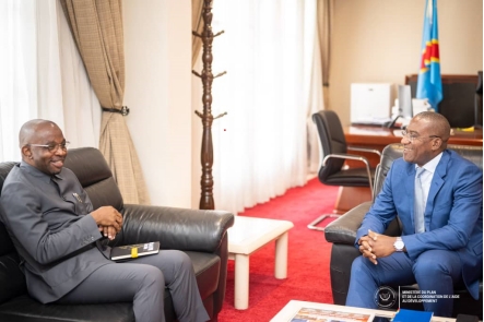 RDC: nécessité d'un accompagnement pour l’ élaboration d’une politique ...