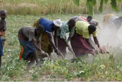 Kinshasa : l'importance de créer des mécanismes d'autosuffisance ...